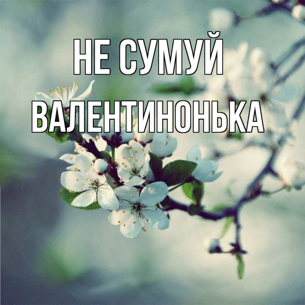 Открытка на каждый день з підписом, Валентинонька Не сумуй яблоня в цвету 1 Прикольна листівка з побажанням онлайн скачати безкоштовно 