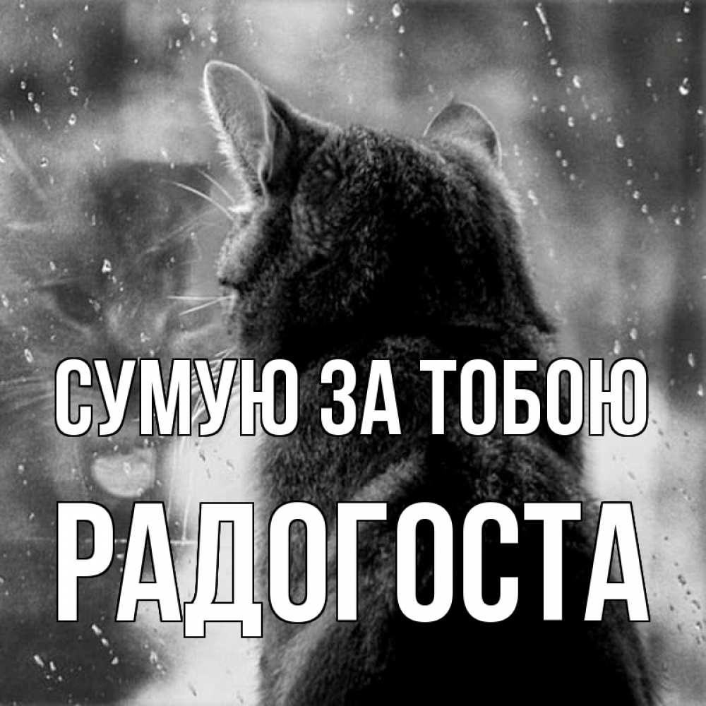 Открытка на каждый день з підписом, Радогоста Сумую за тобою скорее ко мне приходи 1 Прикольна листівка з побажанням онлайн скачати безкоштовно 