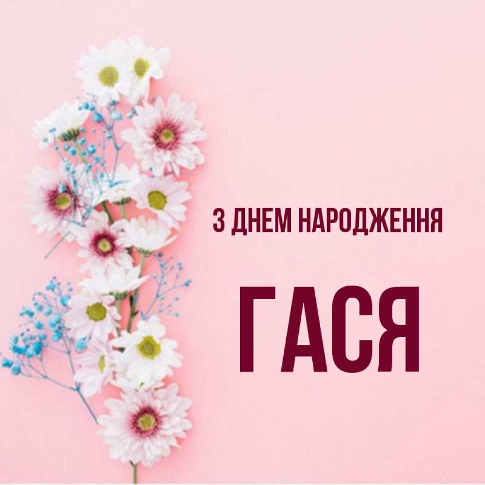 Открытка на каждый день з підписом, Гася З Днем народження Родная моя с днем рождения тебя картинка с цветами белыми и голубыми Прикольна листівка з побажанням онлайн скачати безкоштовно 