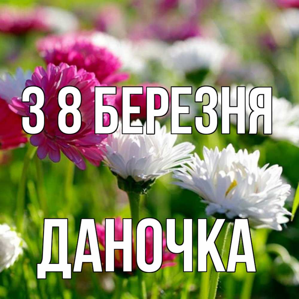 Открытка на каждый день з підписом, Даночка З 8 БЕРЕЗНЯ международный женский день 1 Прикольна листівка з побажанням онлайн скачати безкоштовно 