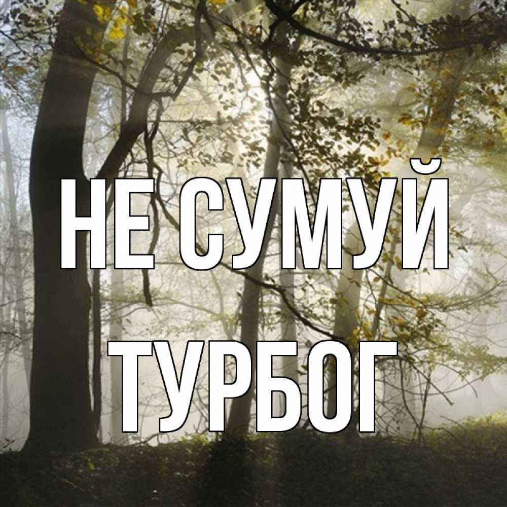 Открытка на каждый день з підписом, Турбог Не сумуй лес и свет Прикольна листівка з побажанням онлайн скачати безкоштовно 