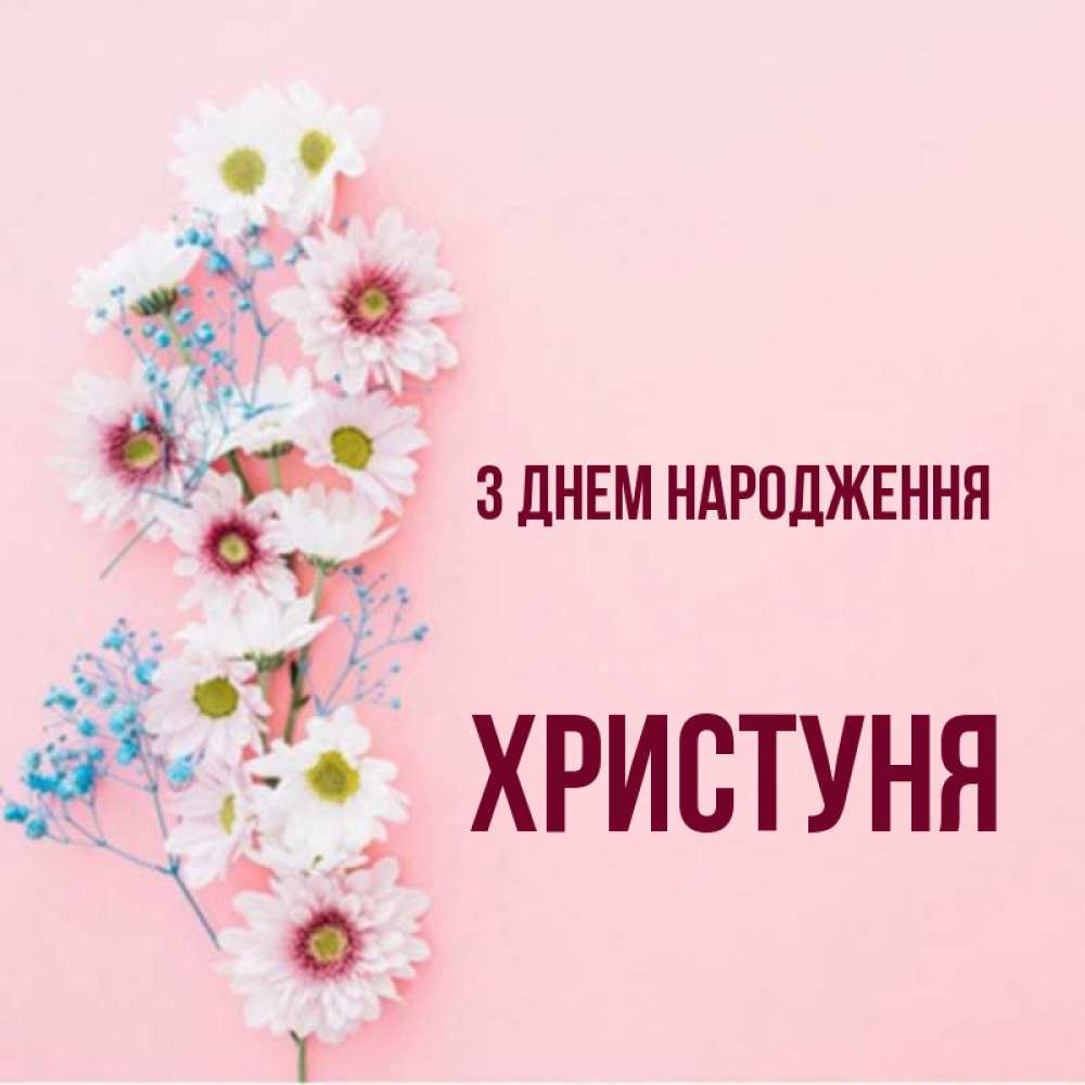 Открытка на каждый день з підписом, Христуня З Днем народження Родная моя с днем рождения тебя картинка с цветами белыми и голубыми Прикольна листівка з побажанням онлайн скачати безкоштовно 