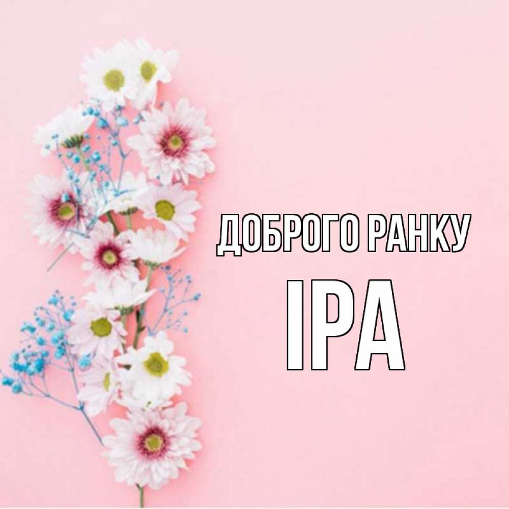 Открытка на каждый день з підписом, Іра Доброго ранку цветы с подписью Прикольна листівка з побажанням онлайн скачати безкоштовно 