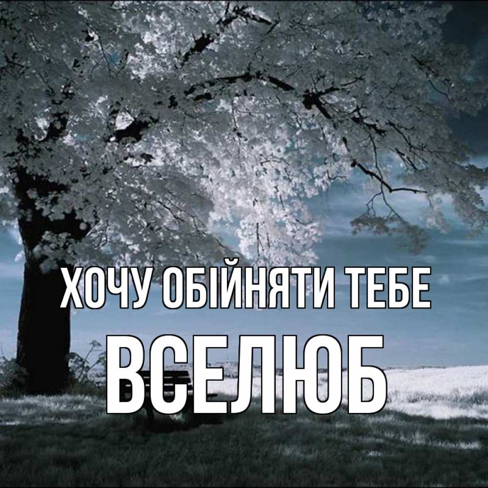 Открытка на каждый день з підписом, Вселюб Хочу обійняти тебе дерево Прикольна листівка з побажанням онлайн скачати безкоштовно 