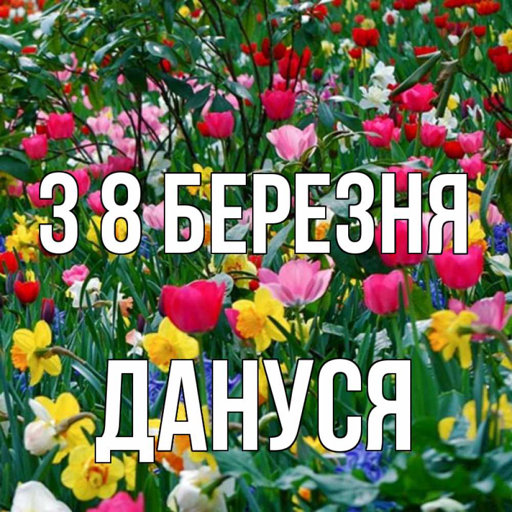 Открытка на каждый день з підписом, Дануся З 8 БЕРЕЗНЯ с международным женским днем поздравления для женщины Прикольна листівка з побажанням онлайн скачати безкоштовно 
