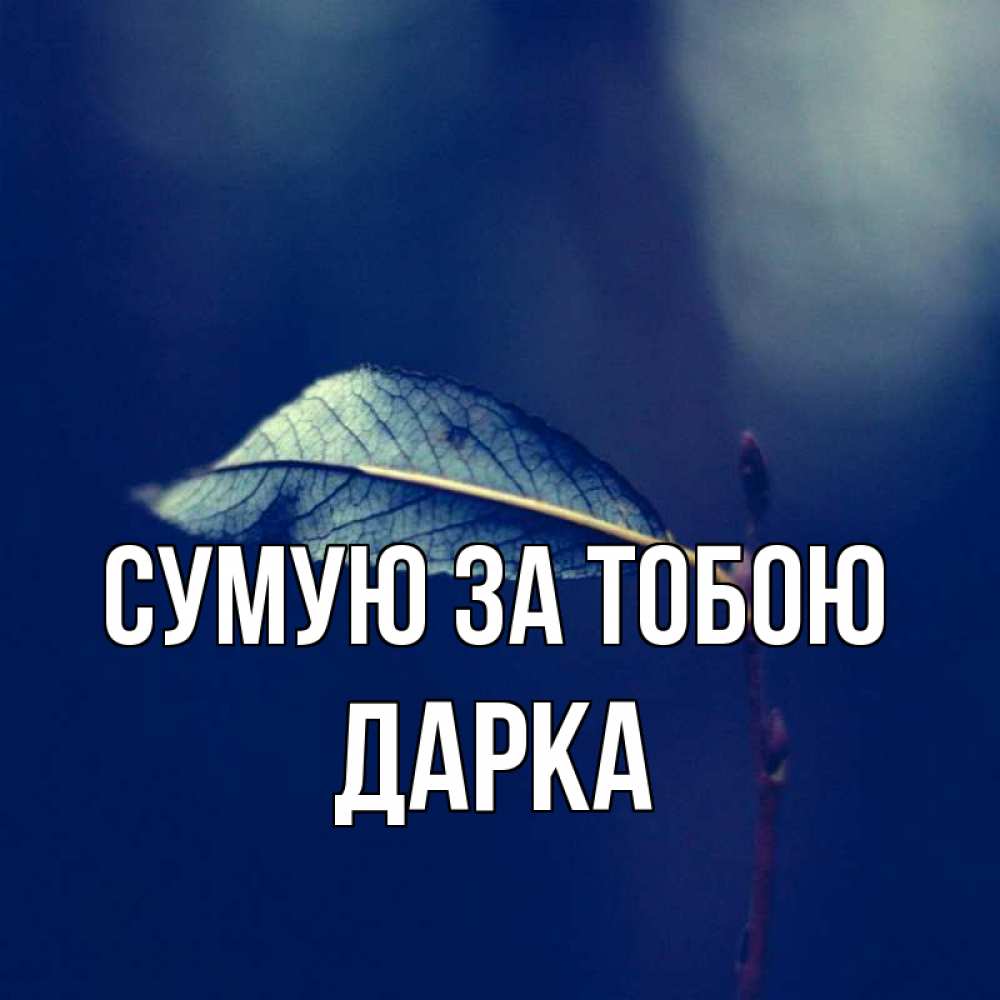 Открытка на каждый день з підписом, Дарка Сумую за тобою одна ветка 1 Прикольна листівка з побажанням онлайн скачати безкоштовно 