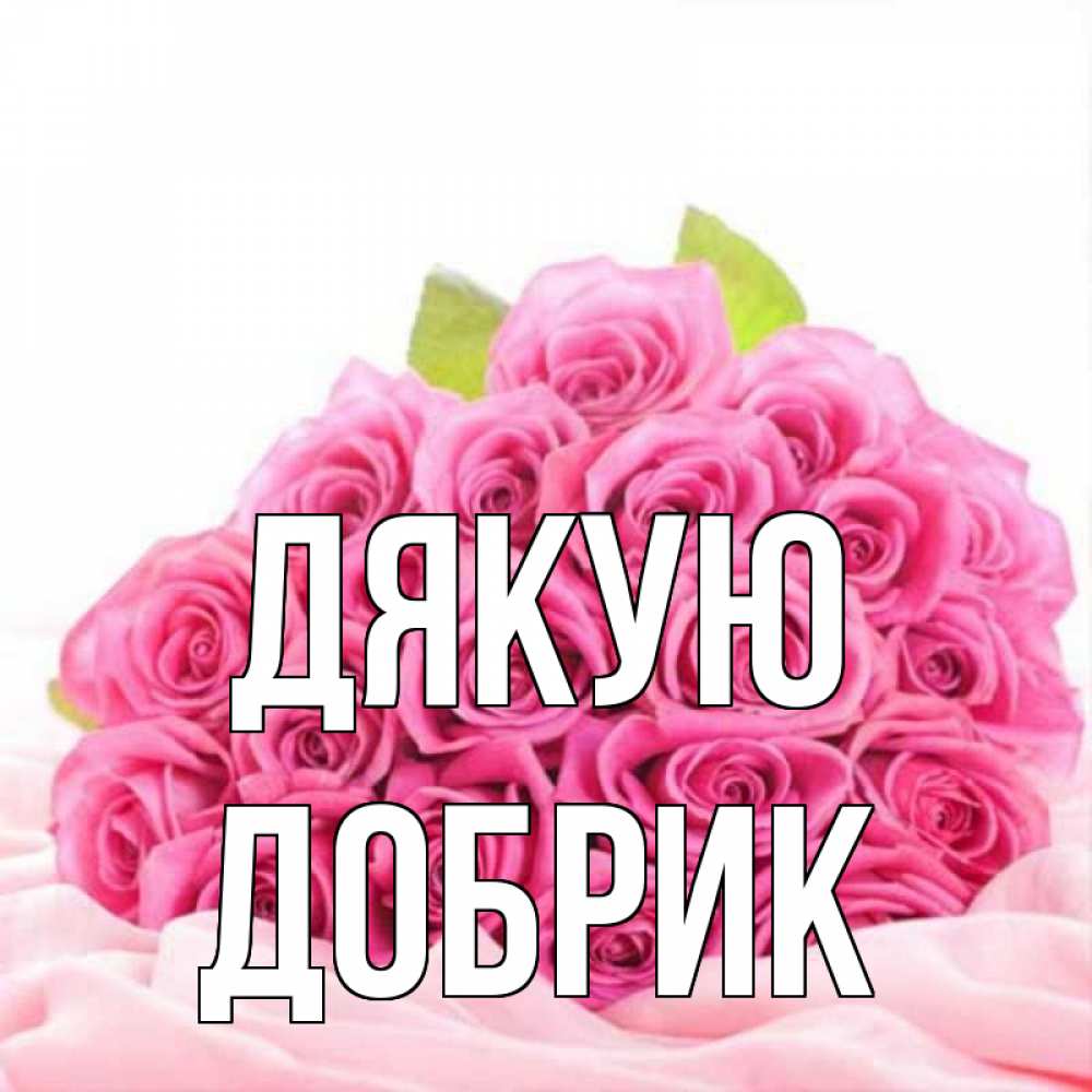 Открытка на каждый день з підписом, Добрик Дякую розовые розы с подписью Прикольна листівка з побажанням онлайн скачати безкоштовно 