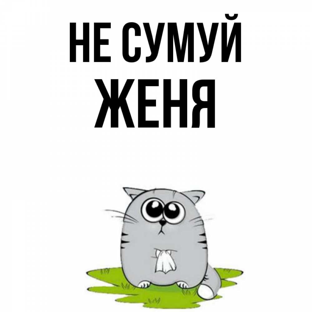 Открытка на каждый день з підписом, Женя Не сумуй грустный котяра Прикольна листівка з побажанням онлайн скачати безкоштовно 