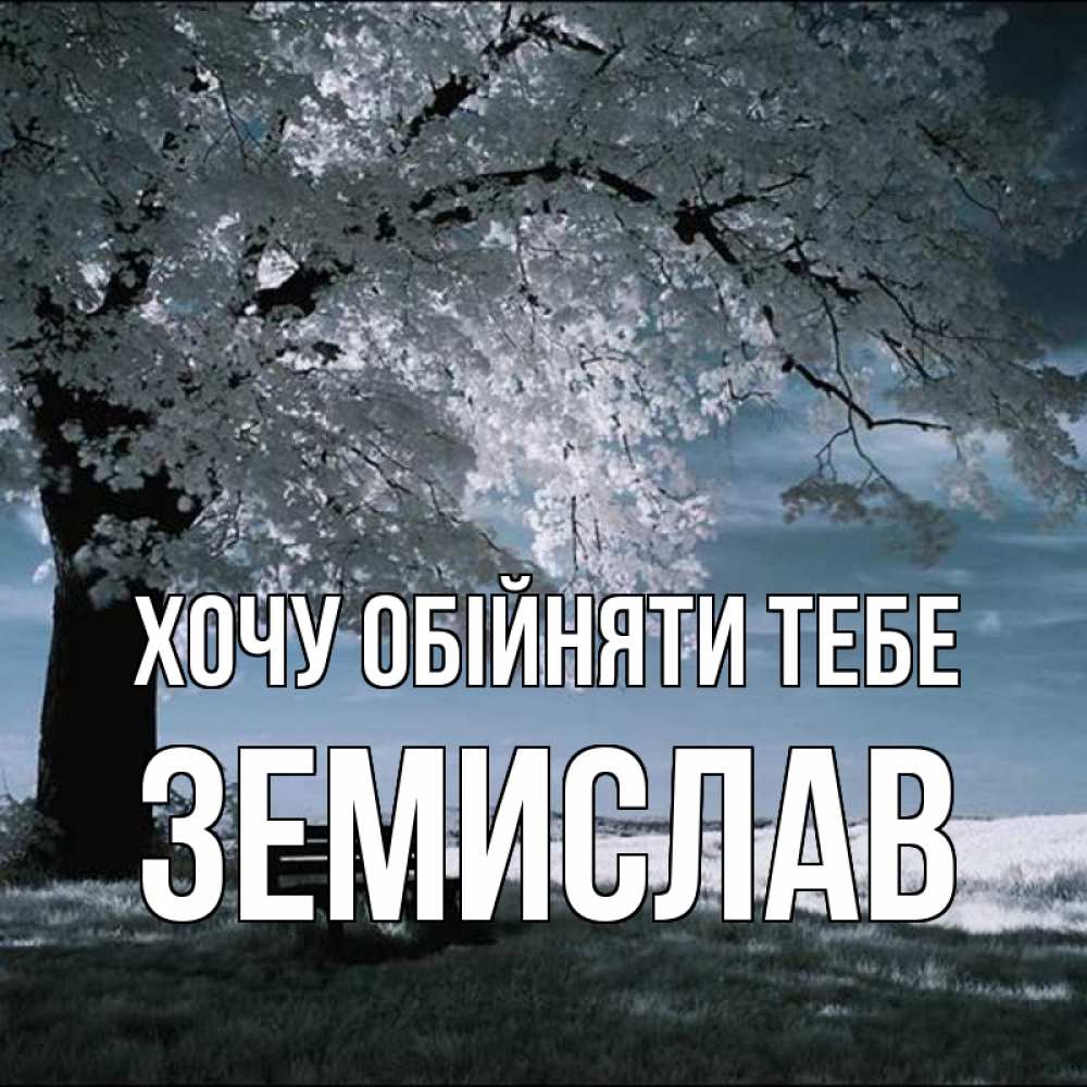 Открытка на каждый день з підписом, Земислав Хочу обійняти тебе дерево Прикольна листівка з побажанням онлайн скачати безкоштовно 