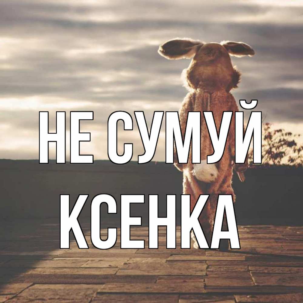 Открытка на каждый день з підписом, Ксенка Не сумуй со спины Прикольна листівка з побажанням онлайн скачати безкоштовно 