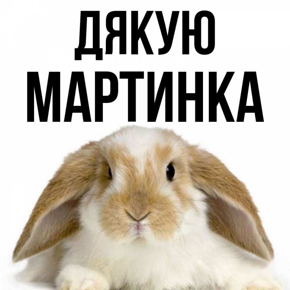 Открытка на каждый день з підписом, Мартинка Дякую коричнево белый заяц Прикольна листівка з побажанням онлайн скачати безкоштовно 
