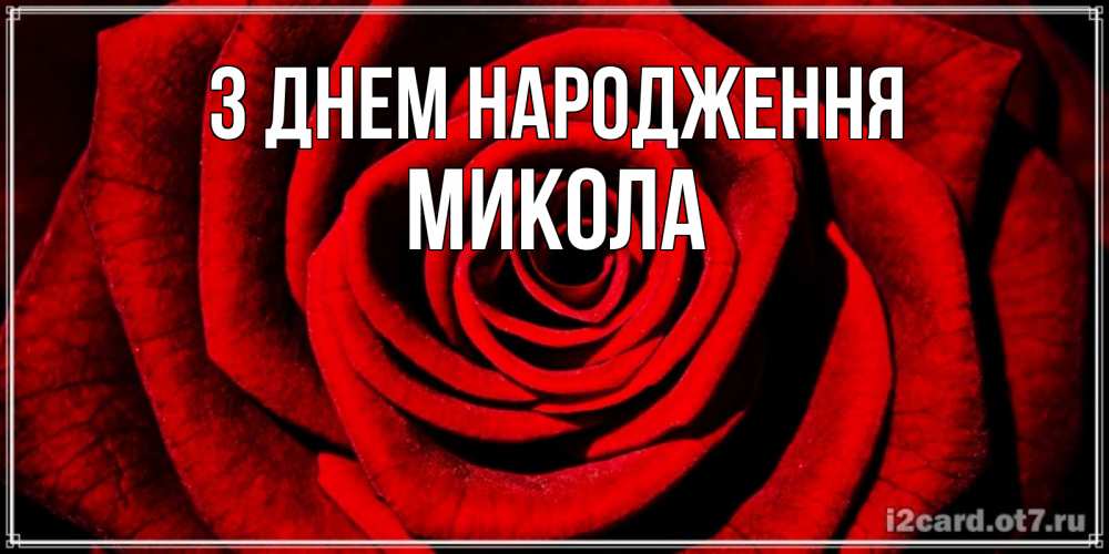 Открытка на каждый день з підписом, Микола З Днем народження алая роза Прикольна листівка з побажанням онлайн скачати безкоштовно 