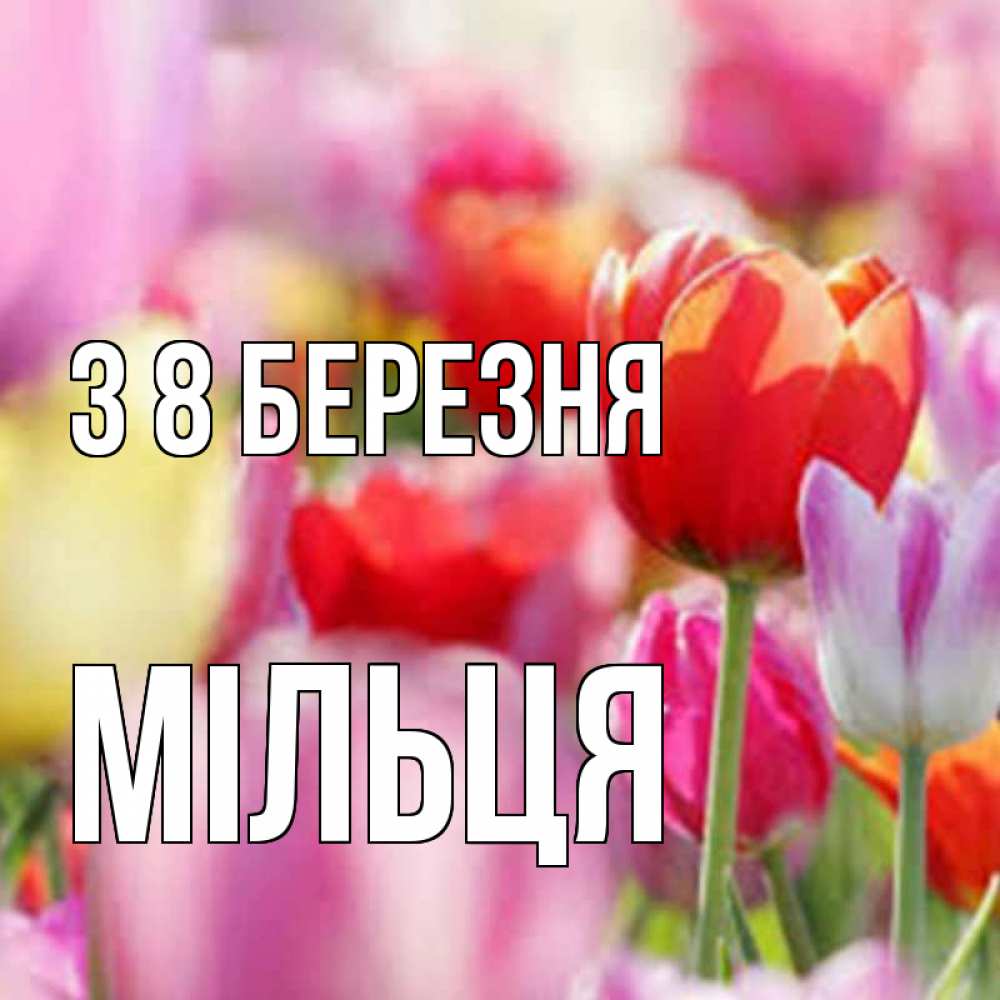 Открытка на каждый день з підписом, Мільця З 8 БЕРЕЗНЯ на международный женский день 2 Прикольна листівка з побажанням онлайн скачати безкоштовно 