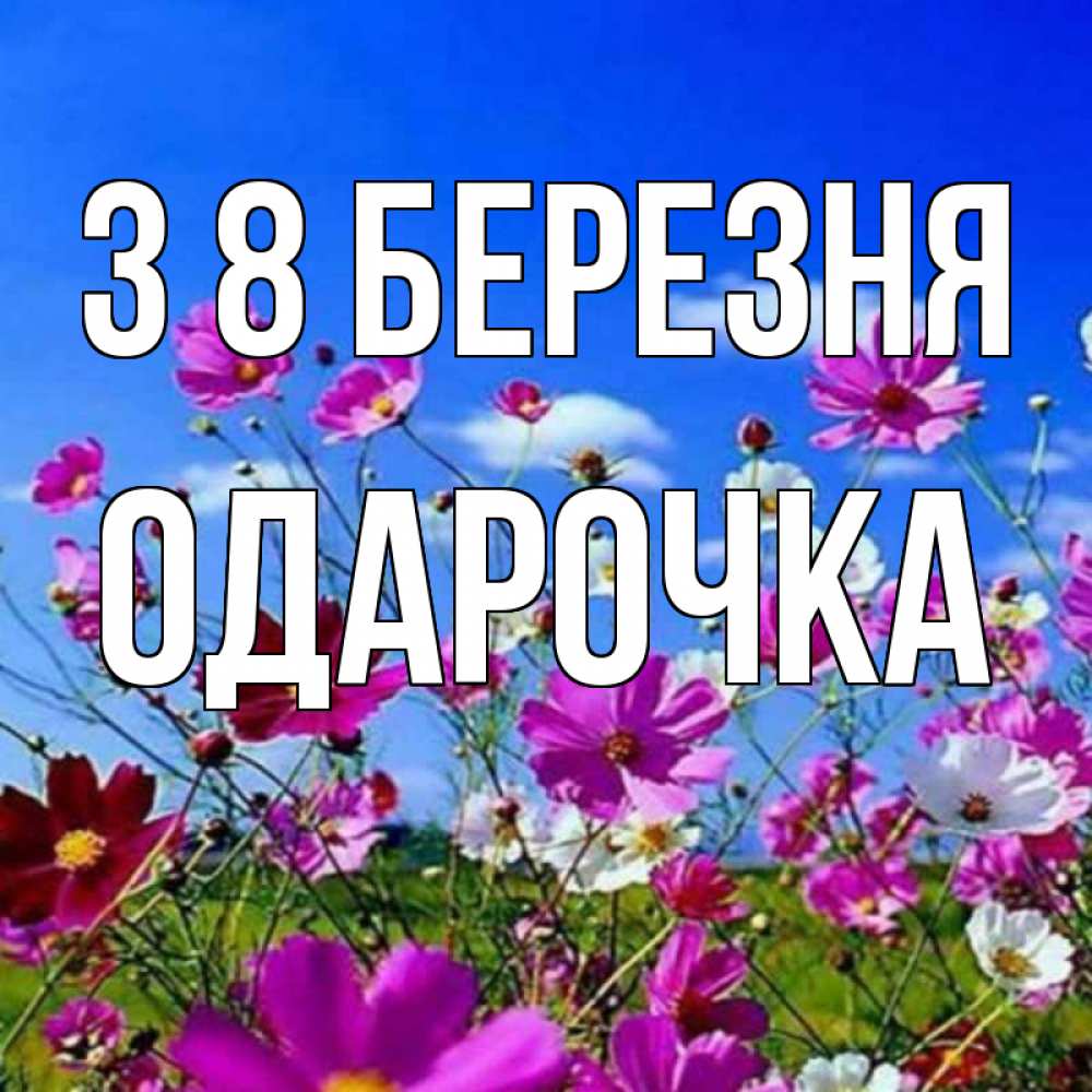 Открытка на каждый день з підписом, Одарочка З 8 БЕРЕЗНЯ цветы Прикольна листівка з побажанням онлайн скачати безкоштовно 