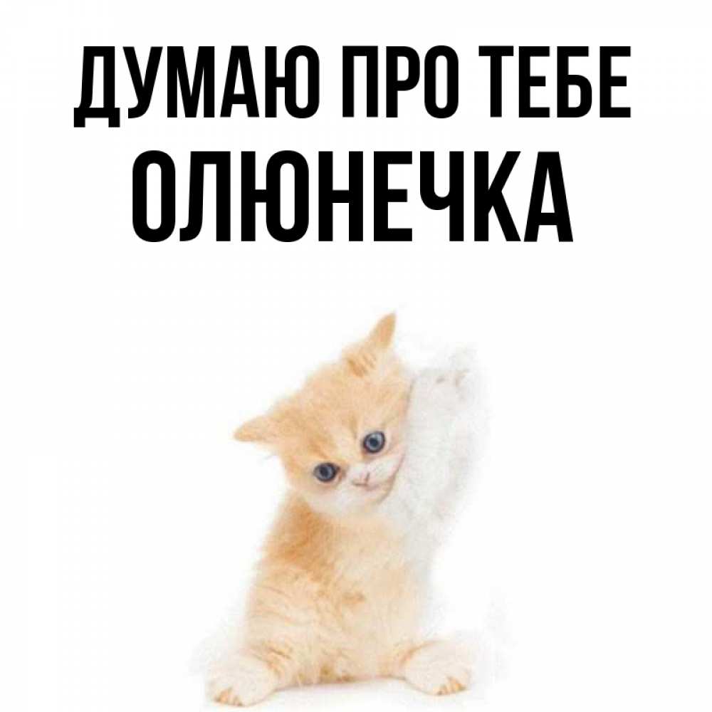 Открытка на каждый день з підписом, Олюнечка Думаю про тебе зверушки и милота Прикольна листівка з побажанням онлайн скачати безкоштовно 