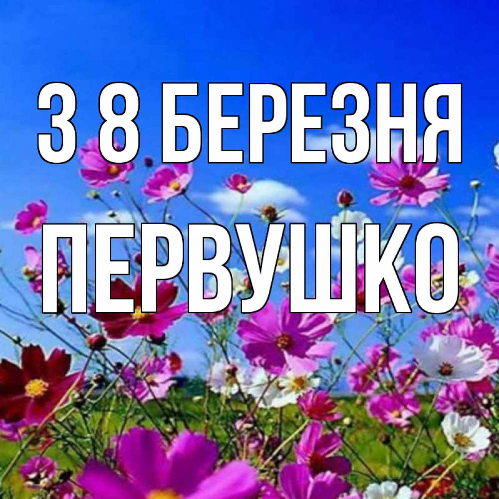 Открытка на каждый день з підписом, Первушко З 8 БЕРЕЗНЯ цветы Прикольна листівка з побажанням онлайн скачати безкоштовно 