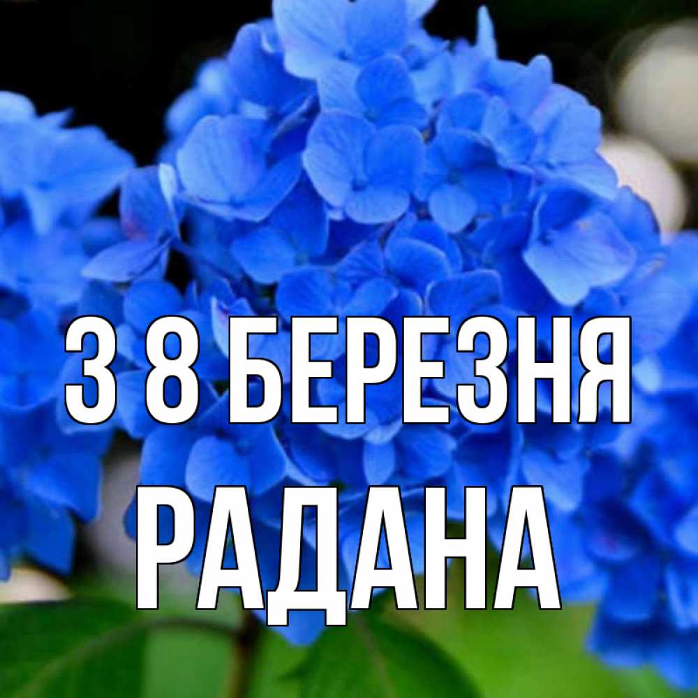 Открытка на каждый день з підписом, Радана З 8 БЕРЕЗНЯ синие цветы Прикольна листівка з побажанням онлайн скачати безкоштовно 