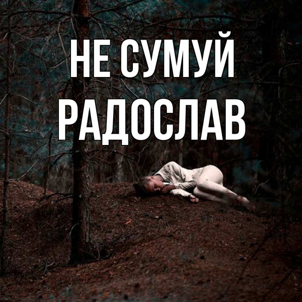 Открытка на каждый день з підписом, Радослав Не сумуй лес Прикольна листівка з побажанням онлайн скачати безкоштовно 