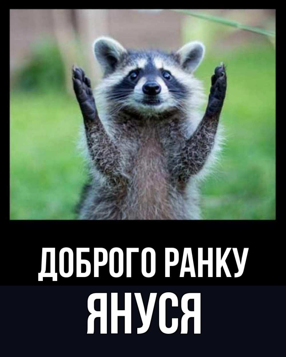 Открытка на каждый день з підписом, Януся Доброго ранку хорошее настроение утречком Прикольна листівка з побажанням онлайн скачати безкоштовно 