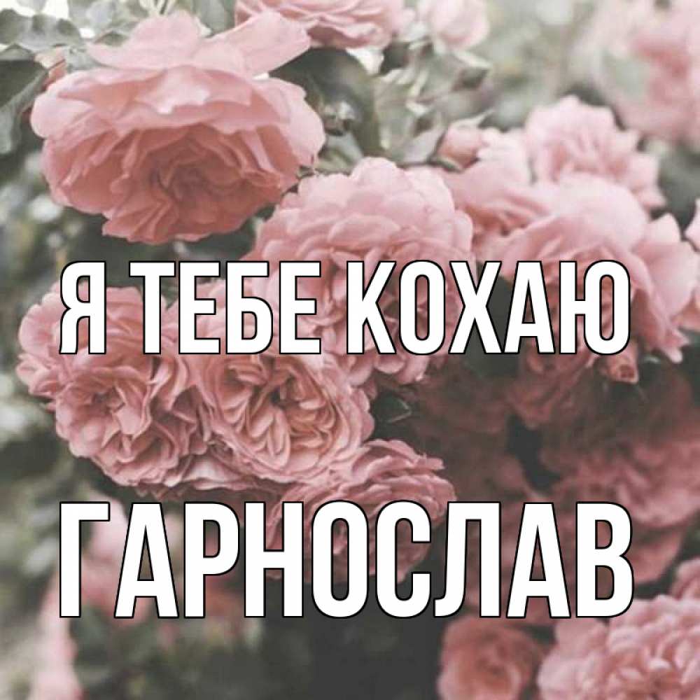 Открытка на каждый день з підписом, Гарнослав Я тебе кохаю розы 3 Прикольна листівка з побажанням онлайн скачати безкоштовно 