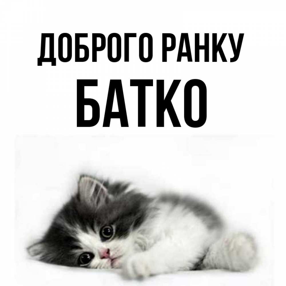 Открытка на каждый день з підписом, Батко Доброго ранку кот лапки Прикольна листівка з побажанням онлайн скачати безкоштовно 