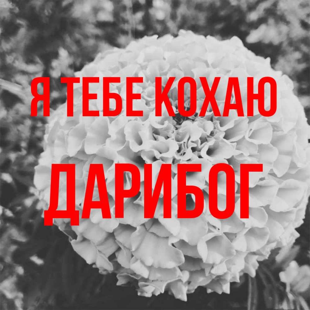 Открытка на каждый день з підписом, Дарибог Я тебе кохаю подпись Прикольна листівка з побажанням онлайн скачати безкоштовно 