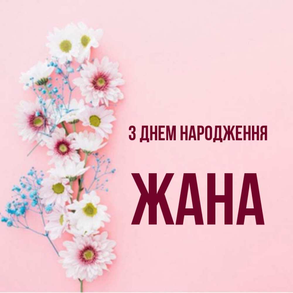 Открытка на каждый день з підписом, Жана З Днем народження Родная моя с днем рождения тебя картинка с цветами белыми и голубыми Прикольна листівка з побажанням онлайн скачати безкоштовно 