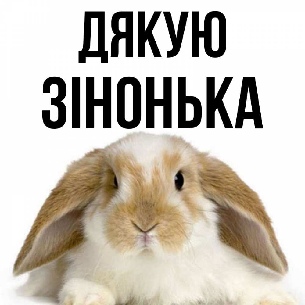 Открытка на каждый день з підписом, Зінонька Дякую коричнево белый заяц Прикольна листівка з побажанням онлайн скачати безкоштовно 
