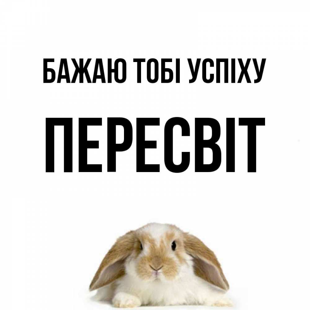 Открытка на каждый день з підписом, Пересвіт Бажаю тобі успіху открытки с произвольным текстом который можно вставить в открытку и создать ее самостоятельно бесплатно онлайн Прикольна листівка з побажанням онлайн скачати безкоштовно 