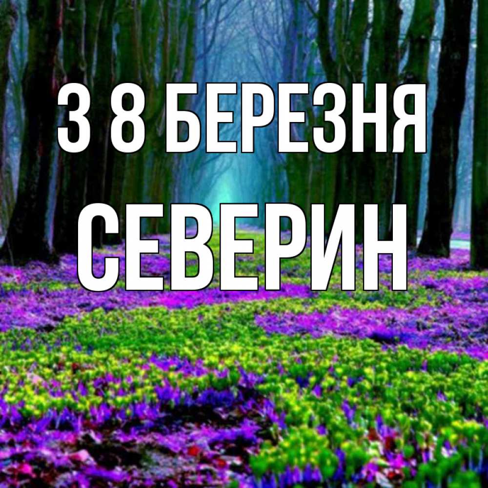 Открытка на каждый день з підписом, Северин З 8 БЕРЕЗНЯ фиолетовые цветы в лесу 1 Прикольна листівка з побажанням онлайн скачати безкоштовно 