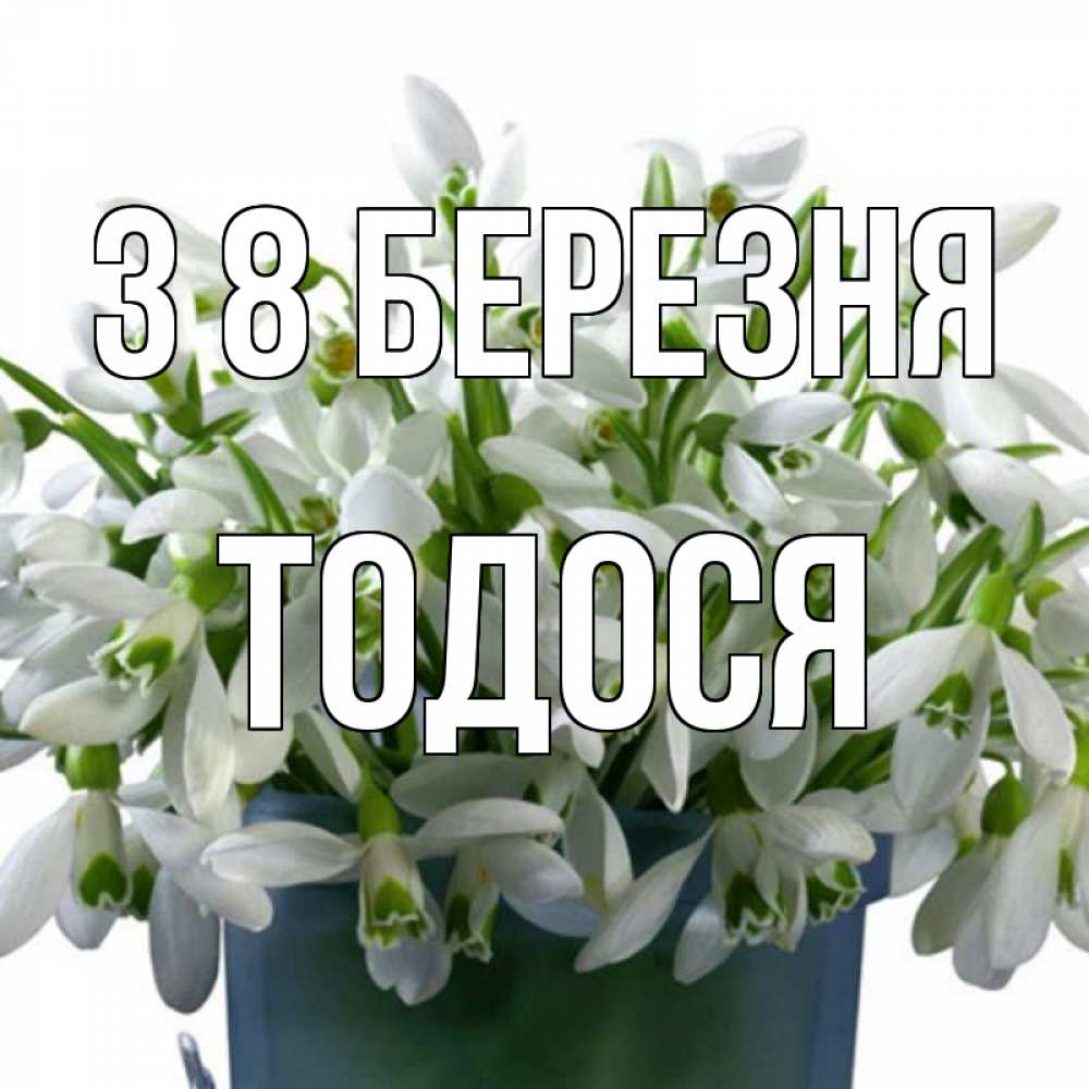 Открытка на каждый день з підписом, Тодося З 8 БЕРЕЗНЯ цветы к международному женскому дню Прикольна листівка з побажанням онлайн скачати безкоштовно 