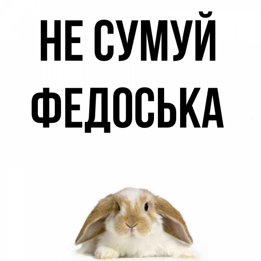 Открытка на каждый день з підписом, Федоська Не сумуй коричнево белый заяц с большими ушками Прикольна листівка з побажанням онлайн скачати безкоштовно 