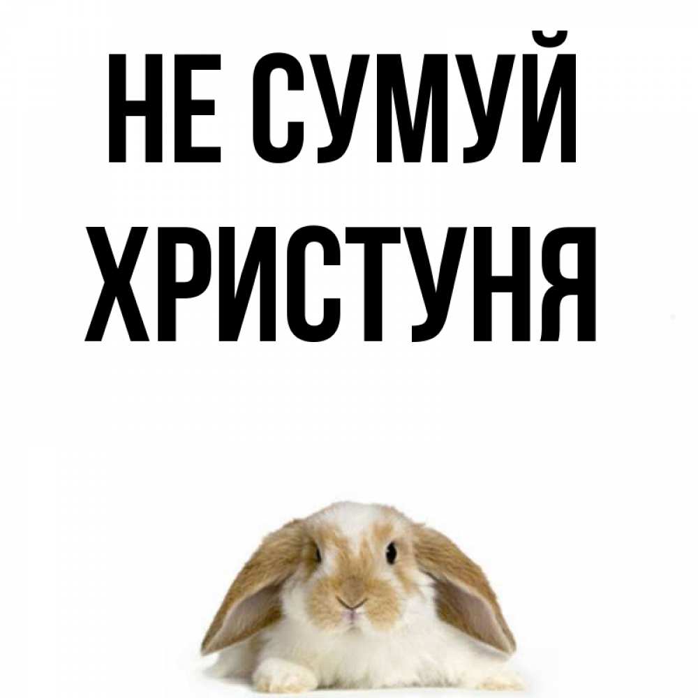 Открытка на каждый день з підписом, Христуня Не сумуй коричнево белый заяц с большими ушками Прикольна листівка з побажанням онлайн скачати безкоштовно 