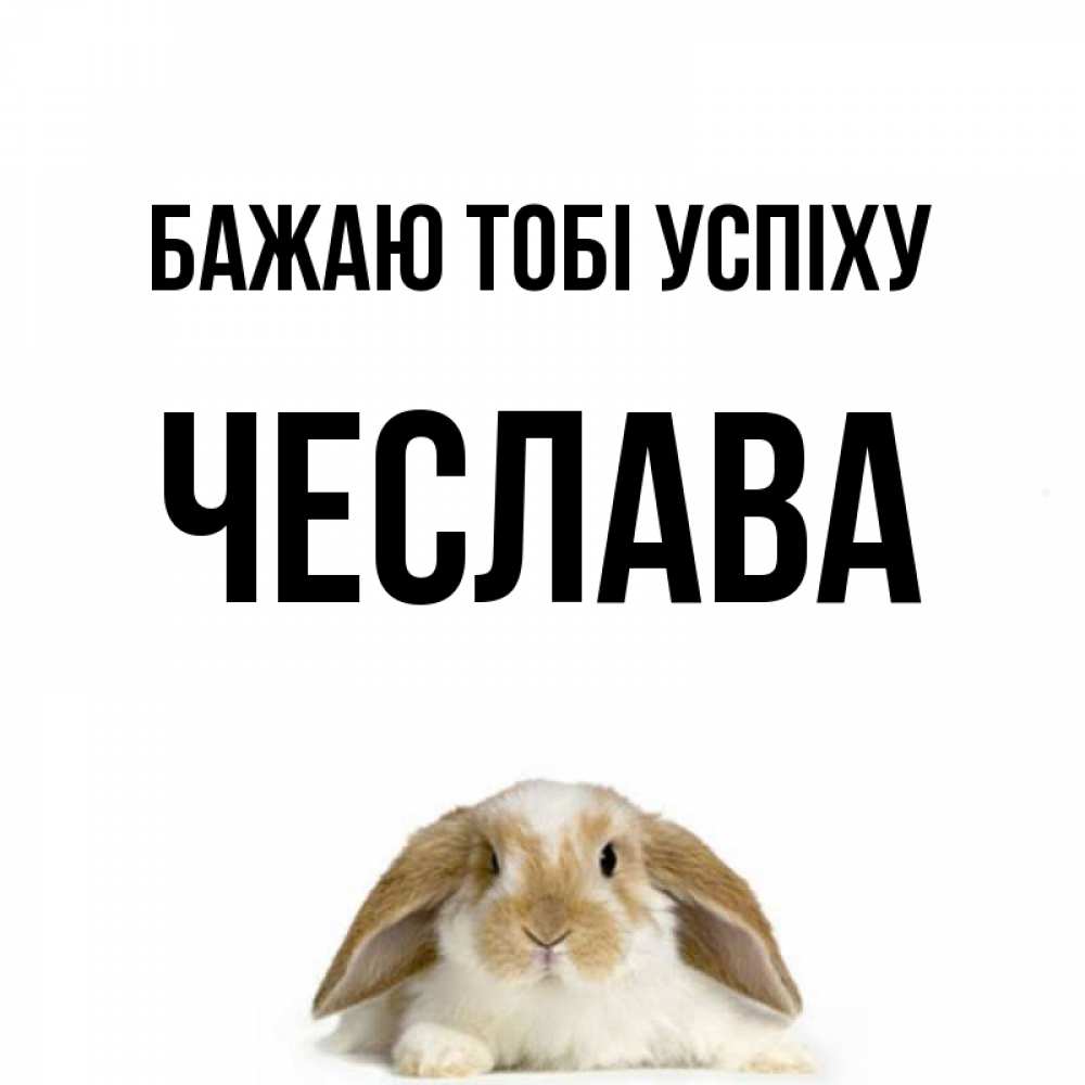 Открытка на каждый день з підписом, Чеслава Бажаю тобі успіху открытки с произвольным текстом который можно вставить в открытку и создать ее самостоятельно бесплатно онлайн Прикольна листівка з побажанням онлайн скачати безкоштовно 