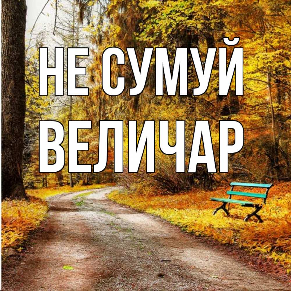Открытка на каждый день з підписом, Величар Не сумуй зеленая лавочка Прикольна листівка з побажанням онлайн скачати безкоштовно 