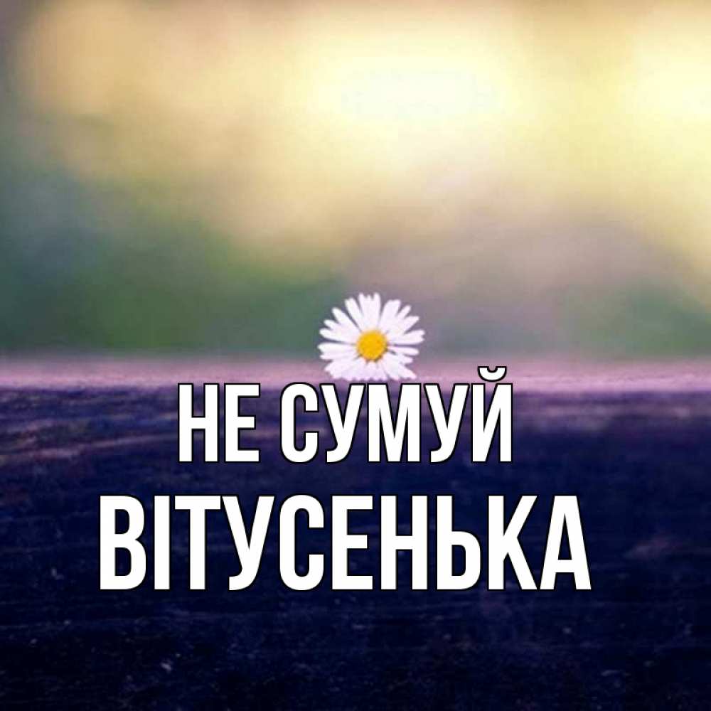 Открытка на каждый день з підписом, Вітусенька Не сумуй красота Прикольна листівка з побажанням онлайн скачати безкоштовно 