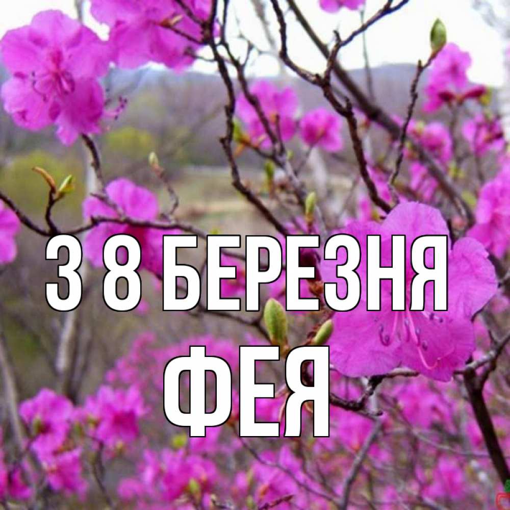 Открытка на каждый день з підписом, Фея З 8 БЕРЕЗНЯ международный женский день Прикольна листівка з побажанням онлайн скачати безкоштовно 