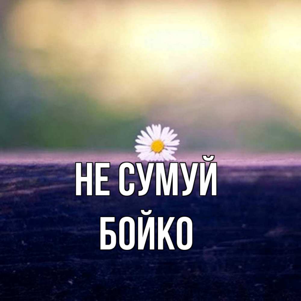 Открытка на каждый день з підписом, Бойко Не сумуй красота Прикольна листівка з побажанням онлайн скачати безкоштовно 