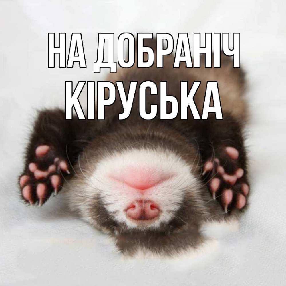 Открытка на каждый день з підписом, Кіруська На добраніч зверек Прикольна листівка з побажанням онлайн скачати безкоштовно 