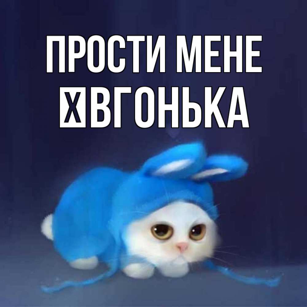 Открытка на каждый день з підписом, Ївгонька Прости мене невинный котозай просит прощения Прикольна листівка з побажанням онлайн скачати безкоштовно 
