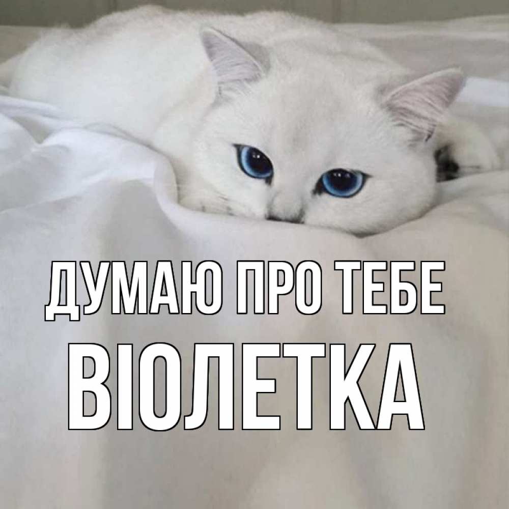 Открытка на каждый день з підписом, Віолетка Думаю про тебе я очень по тебе скучаю и тоскую Прикольна листівка з побажанням онлайн скачати безкоштовно 