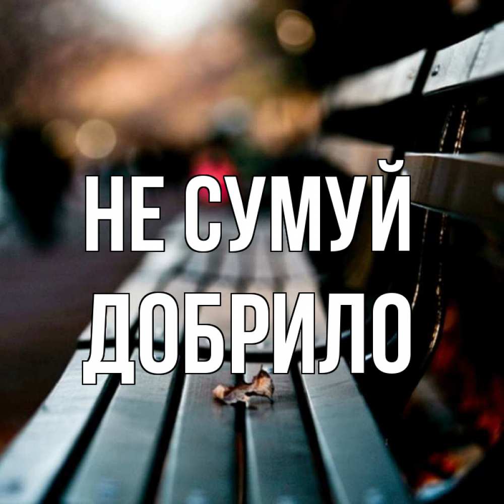 Открытка на каждый день з підписом, Добрило Не сумуй размытый фон Прикольна листівка з побажанням онлайн скачати безкоштовно 