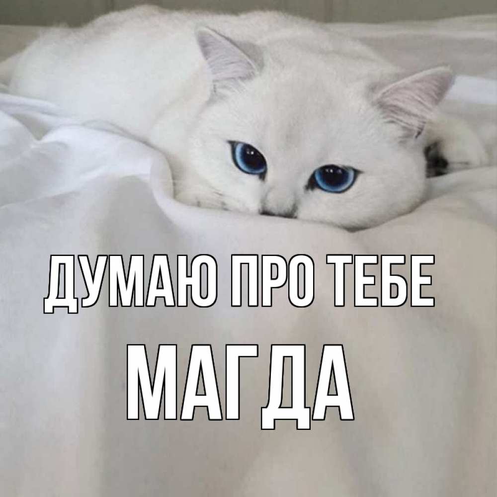 Открытка на каждый день з підписом, Магда Думаю про тебе я очень по тебе скучаю и тоскую Прикольна листівка з побажанням онлайн скачати безкоштовно 