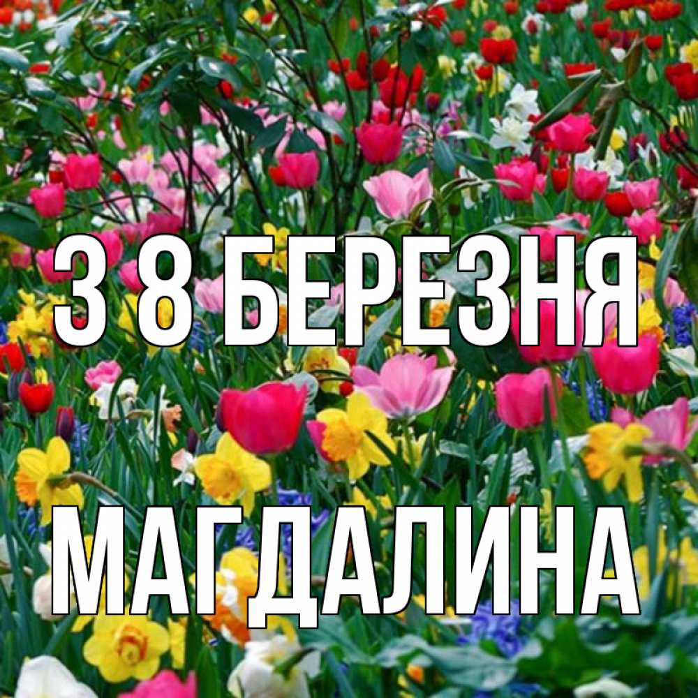 Открытка на каждый день з підписом, Магдалина З 8 БЕРЕЗНЯ с международным женским днем поздравления для женщины Прикольна листівка з побажанням онлайн скачати безкоштовно 