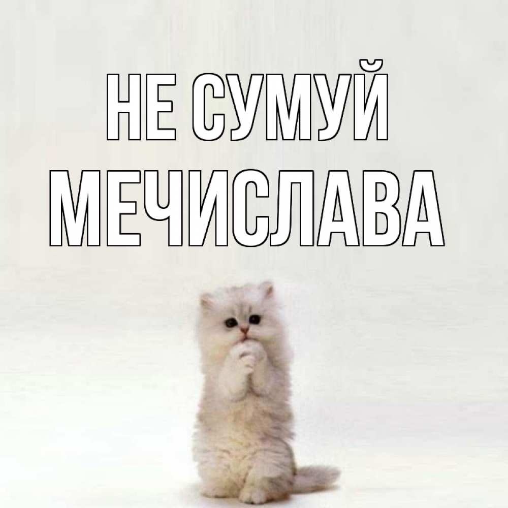 Открытка на каждый день з підписом, Мечислава Не сумуй грустный кот Прикольна листівка з побажанням онлайн скачати безкоштовно 