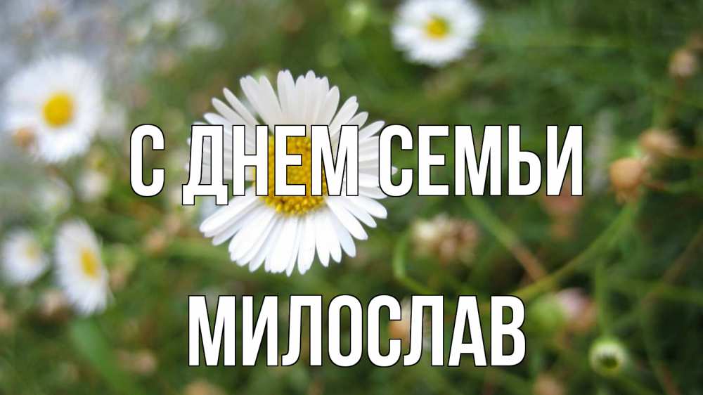 Открытка на каждый день з підписом, Милослав С днем семьи с днем семьи Прикольна листівка з побажанням онлайн скачати безкоштовно 