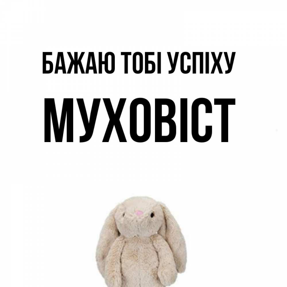 Открытка на каждый день з підписом, Муховіст Бажаю тобі успіху сайт создаватель открыток Прикольна листівка з побажанням онлайн скачати безкоштовно 