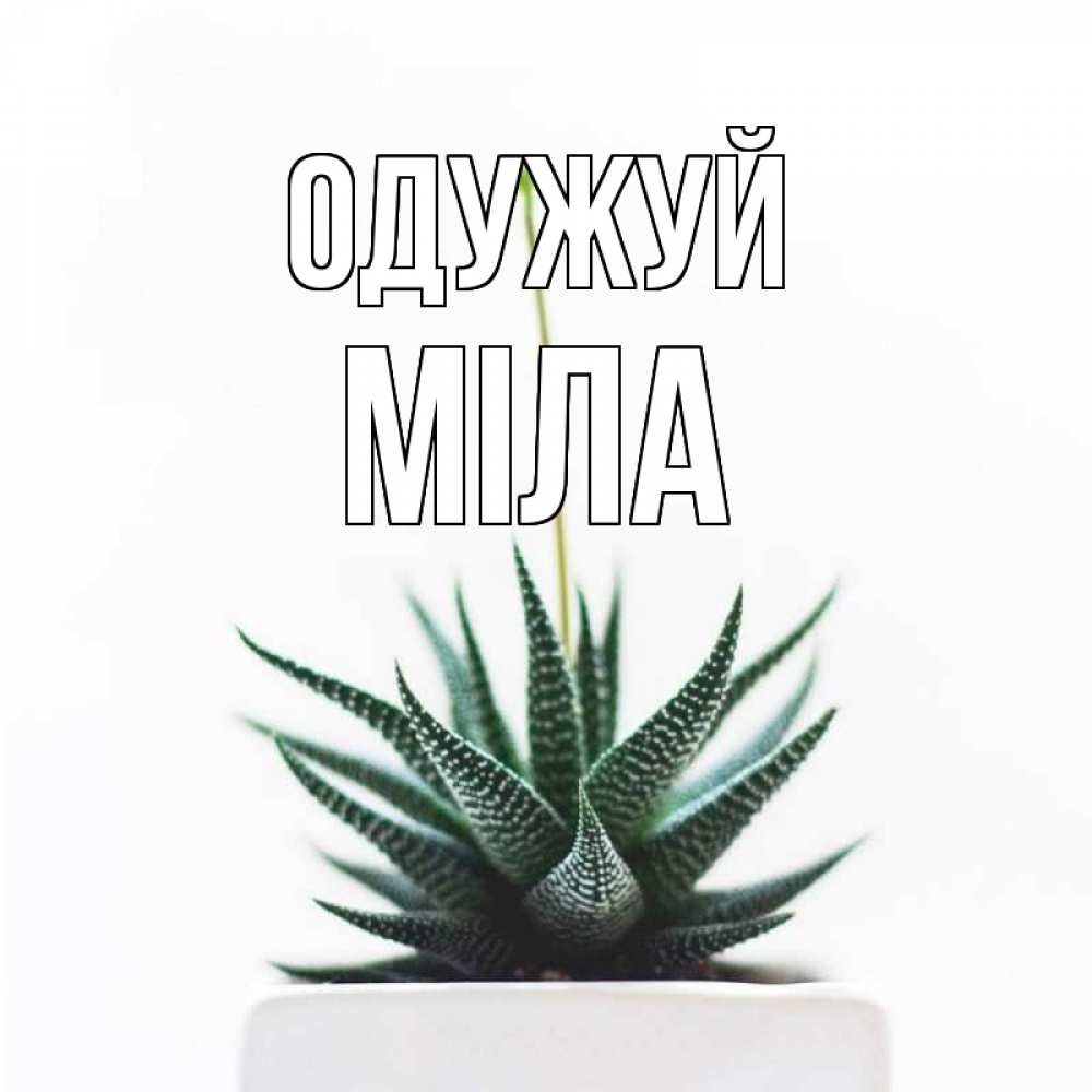 Открытка на каждый день з підписом, Міла Одужуй короче это непонятная колючка Прикольна листівка з побажанням онлайн скачати безкоштовно 