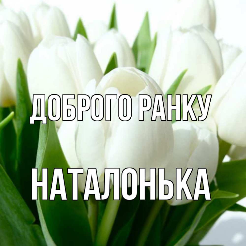 Открытка на каждый день з підписом, Наталонька Доброго ранку открытки на каждый день по именам Прикольна листівка з побажанням онлайн скачати безкоштовно 