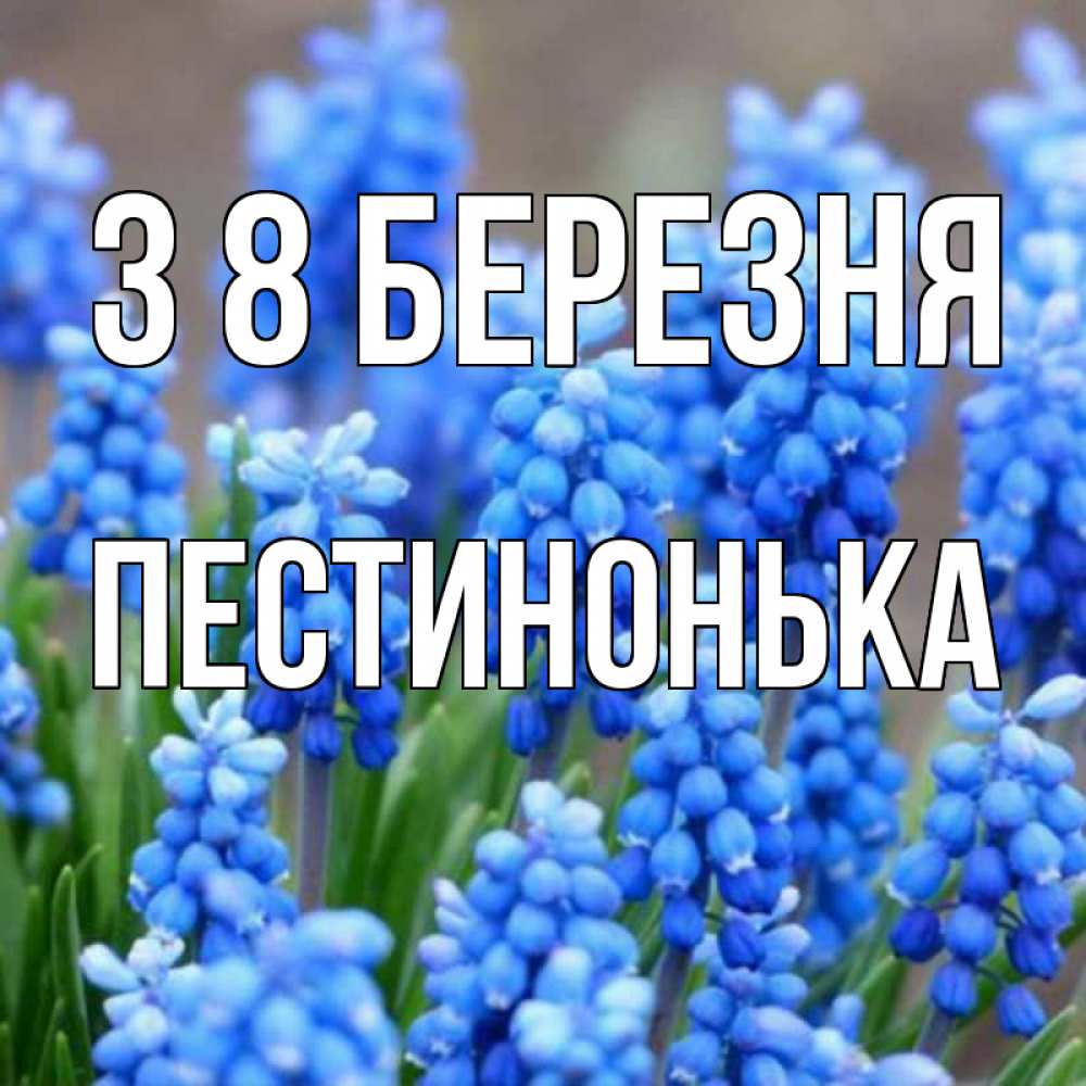 Открытка на каждый день з підписом, Пестинонька З 8 БЕРЕЗНЯ Поздравительная открытка для женщин с цветами на праздничную дату Прикольна листівка з побажанням онлайн скачати безкоштовно 